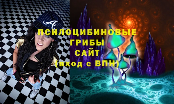МДПВ Верея