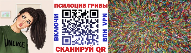 Псилоцибиновые грибы Magic Shrooms Псков