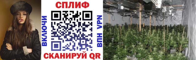 Бошки Шишки конопля  OMG зеркало  Псков 